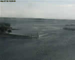 Manatee Pocket Webcam