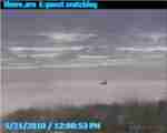 Jacksonville Cam 3