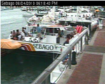Sebago Watersports Cam