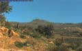 Live View of Mount Cuyamaca