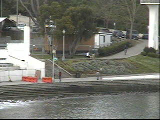 SF Webcam