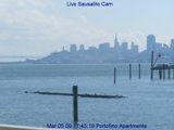 Bay Area Webcams 